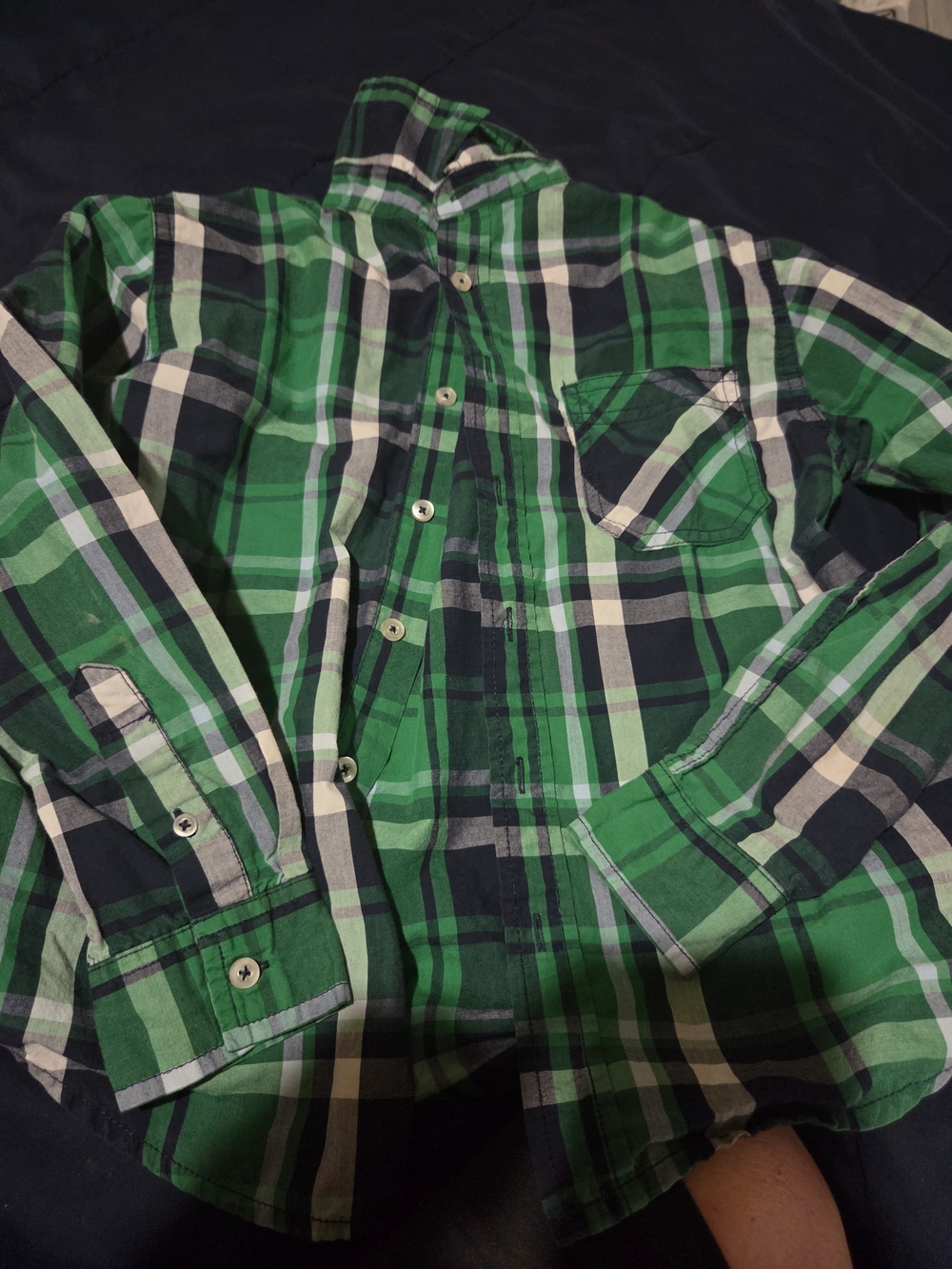 Faded Glory Green and Navy Plaid Button-Down Shirt - Men's